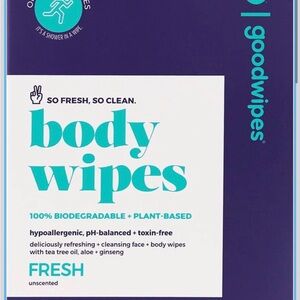 Goodwipes Really Big Body Wipes 10 count